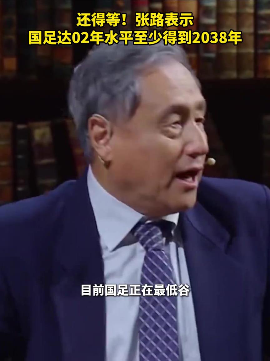真是绝望！张路：国足要达02年水平至少得到2038年